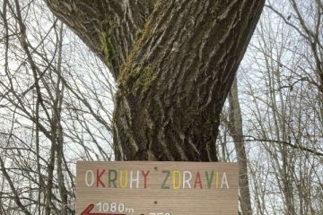 Smerovníky 2022
