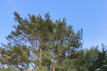 2024 - Lavička Krtko a Zajačik