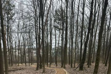 2024 - Chodník ku komunitnému sedeniu