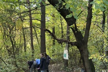 Októbrova brigáda 2025