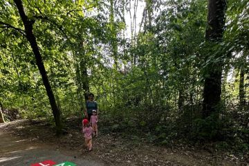 Borovicový háj bude opäť o niečo príjemnejší pre všetkých návštevníkov